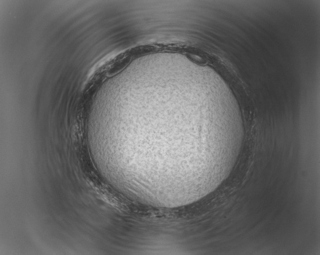 X0000076390920200611031651