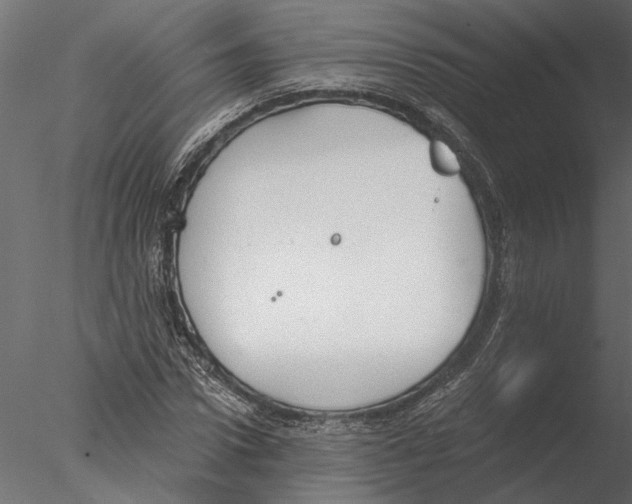 X0000076390922200611031651