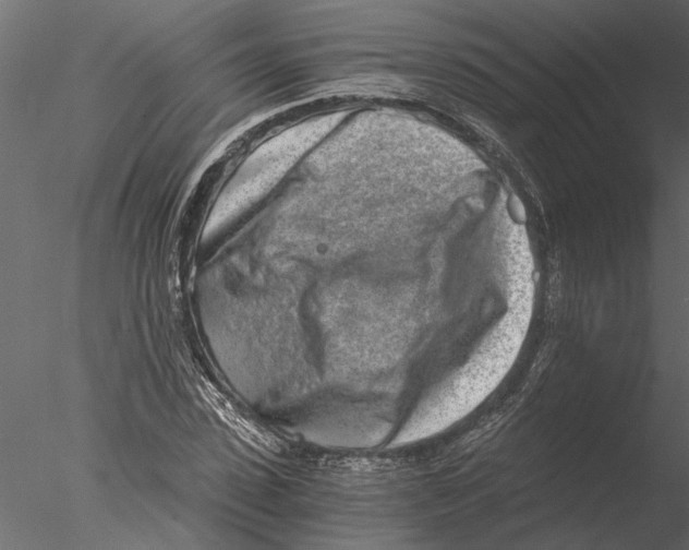 X0000076390923200611031651