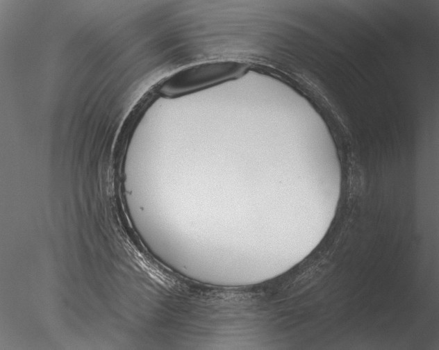 X0000076390924200611031651