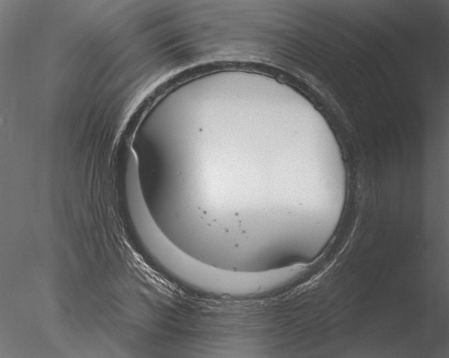 X0000076390926200611031651