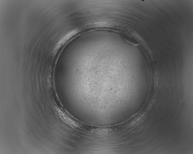 X0000076390930200611031651