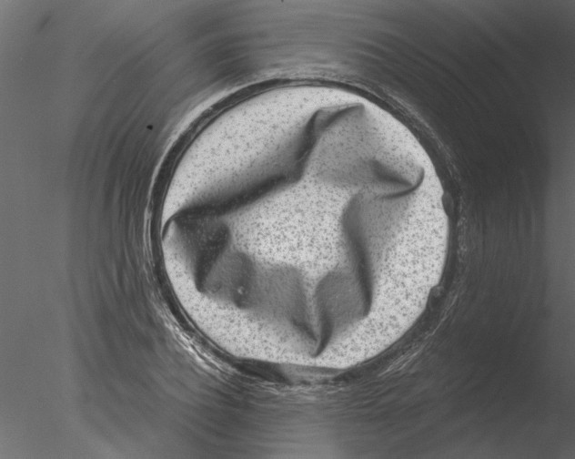 X0000076390932200611031651