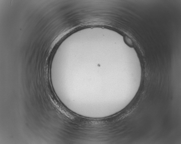 X0000076390933200611031651