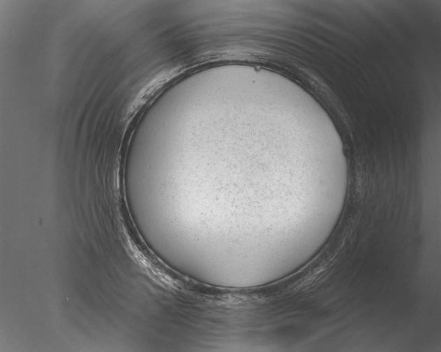 X0000076390938200611031651