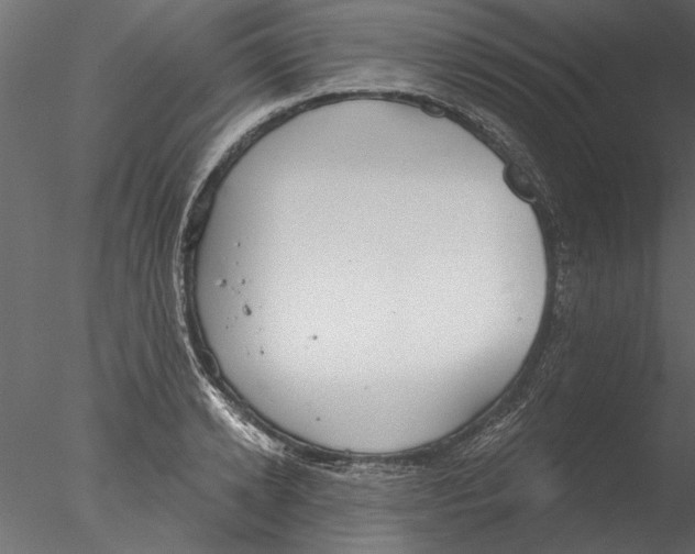 X0000076390942200611031651