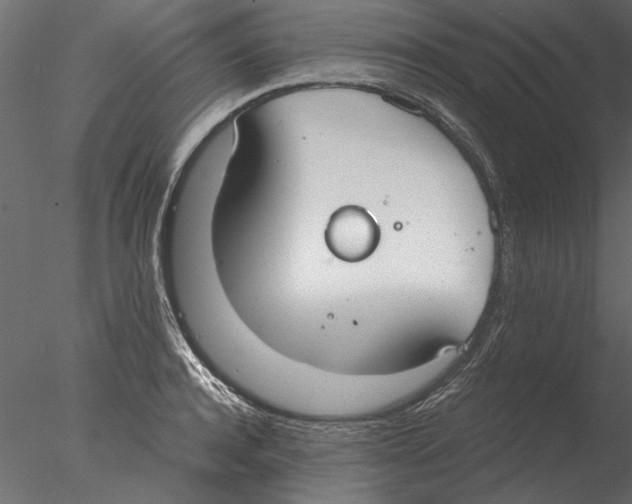 X0000076390944200611031651