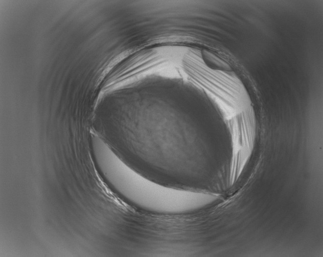 X0000076390945200611031652