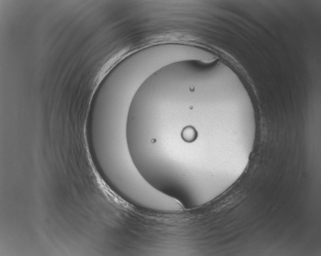 X0000076390946200611031652