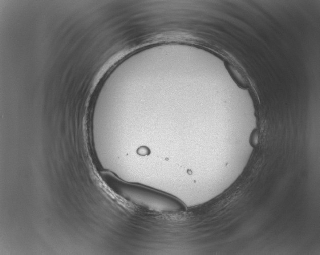 X0000076390947200611031652