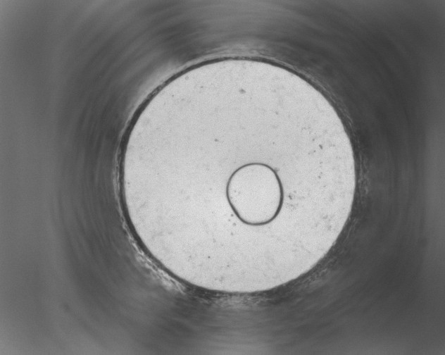 X0000076390950200611031652