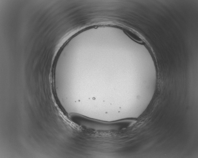 X0000076390951200611031652