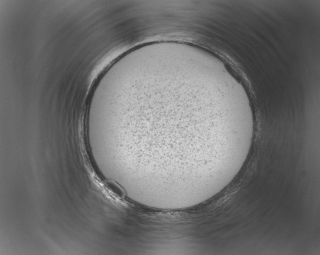 X0000076390952200611031652