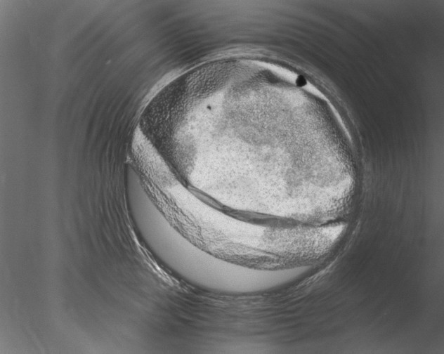 X0000076390953200611031652