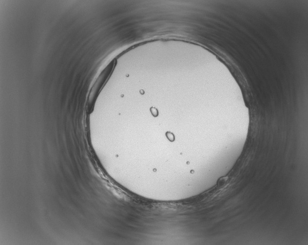 X0000076390956200611031652