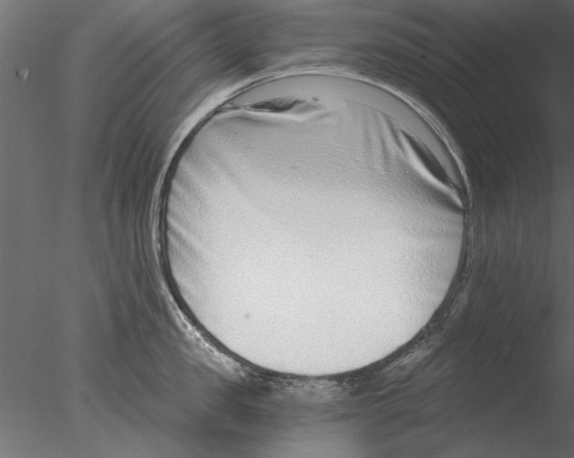 X0000076390957200611031652