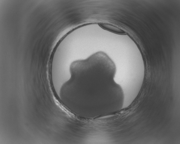 X0000076390958200611031652