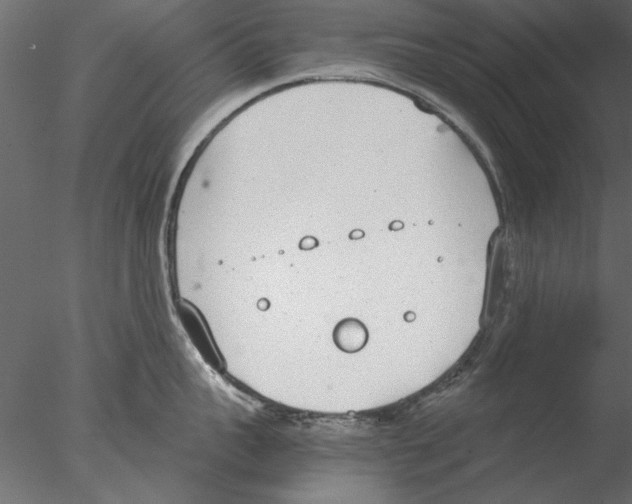 X0000076390959200611031652