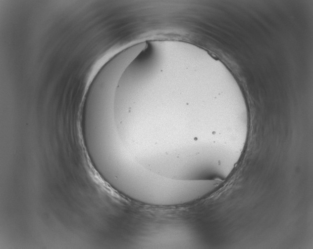 X0000076390960200611031652