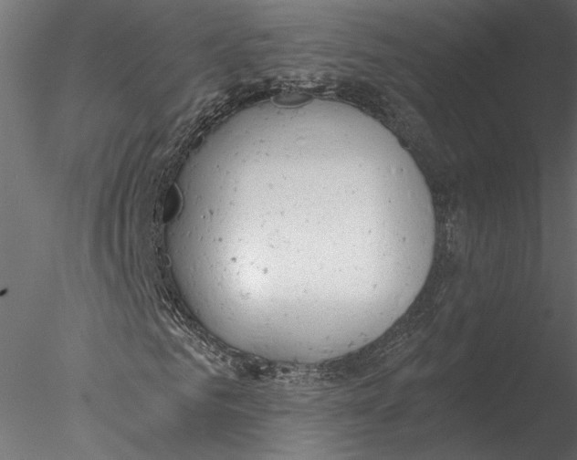 X0000076390961200611031651