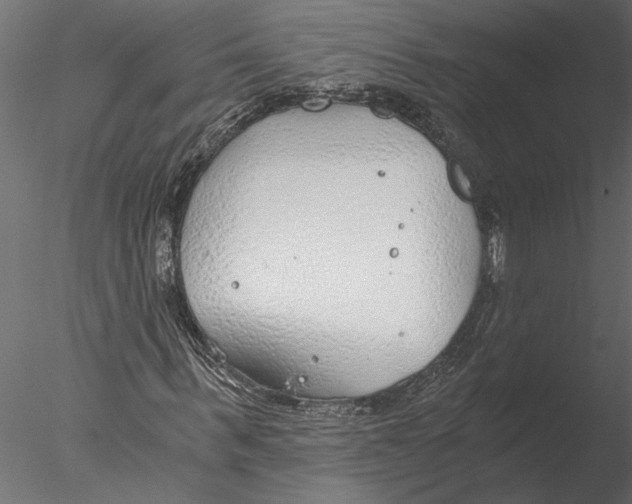 X0000076390963200611031651