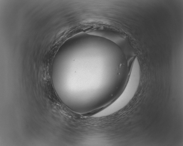 X0000076390965200611031651