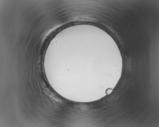 X0000076390971200611031651