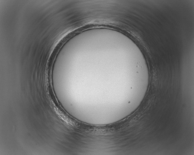 X0000076390976200611031651