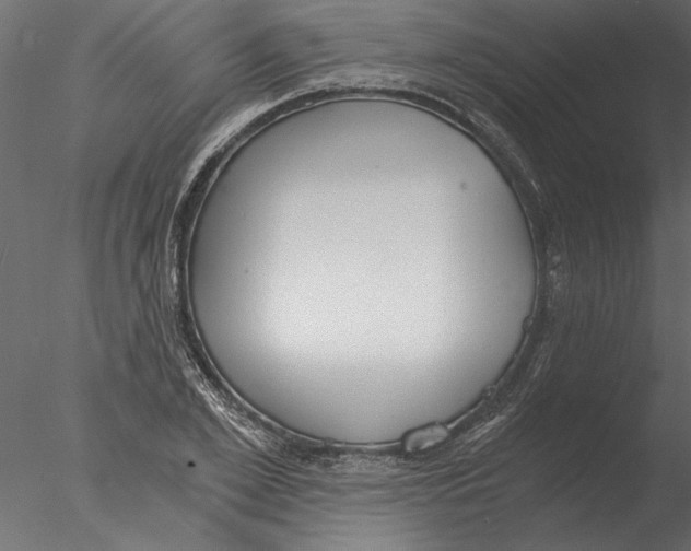 X0000076390981200611031651