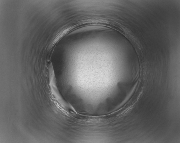 X0000076390985200611031651