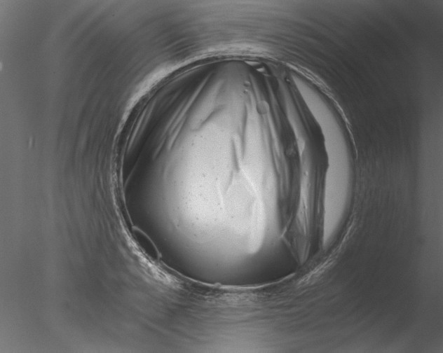 X0000076390989200611031650