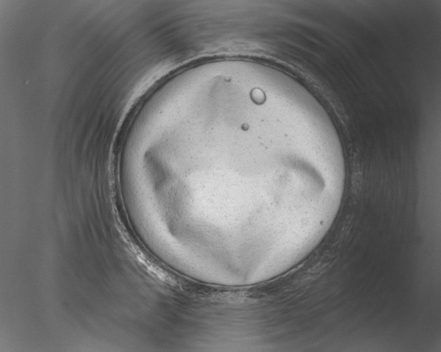 X0000076390990200611031650