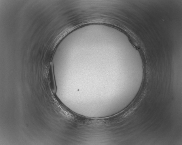 X0000076390993200611031650