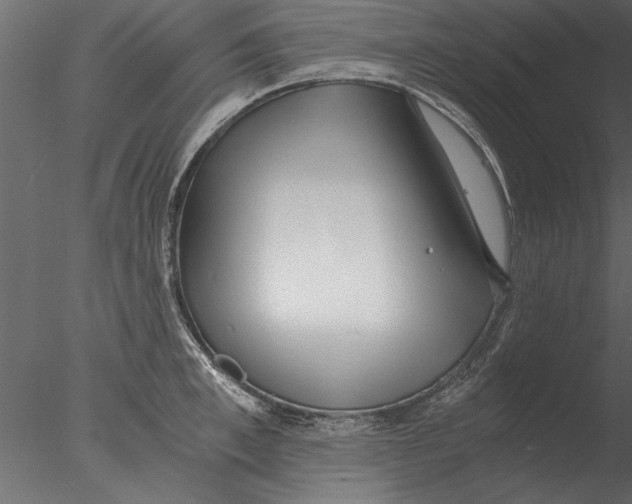 X0000076390997200611031650