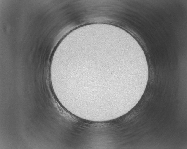 X0000076391000200611031650