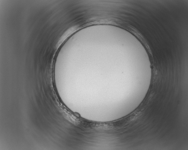 X0000076391002200611031650