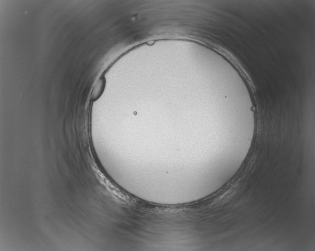 X0000076391004200611031650