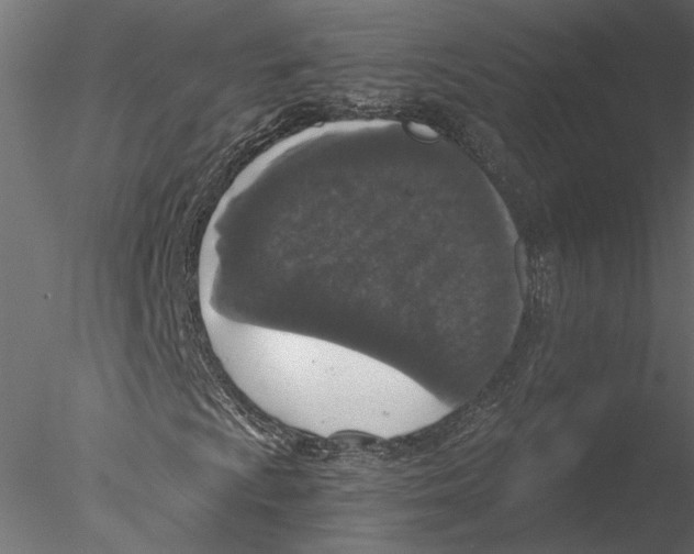 X0000076391009200611031649