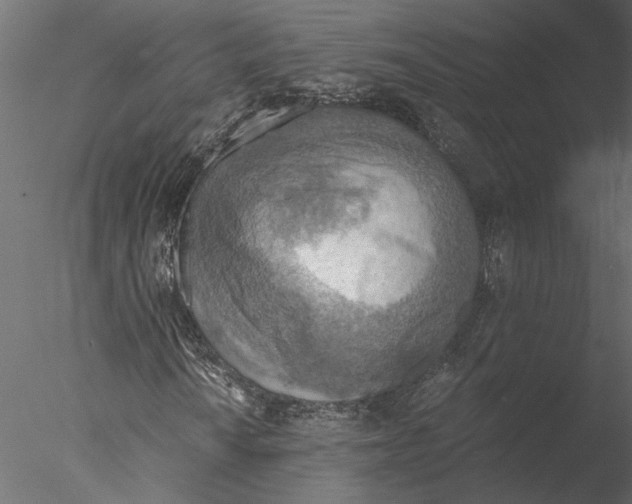 X0000076391010200611031649