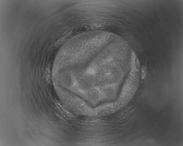 X0000076391011200611031649