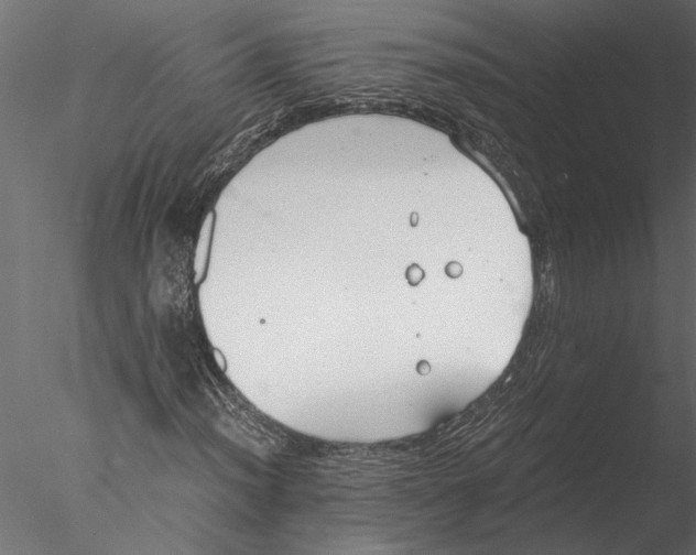 X0000076391012200611031649