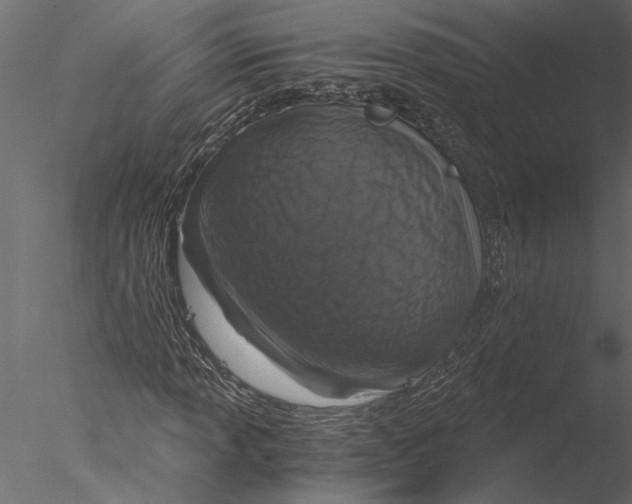 X0000076391013200611031649