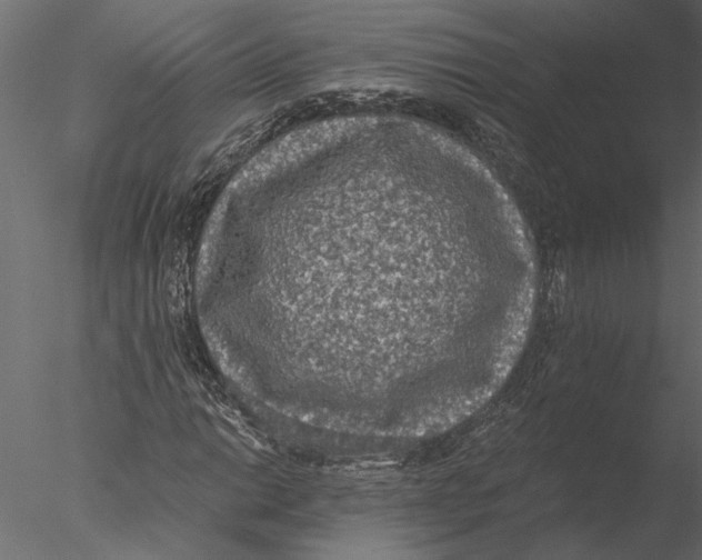 X0000076391014200611031649