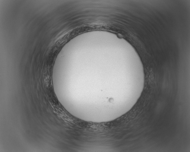 X0000076391015200611031649