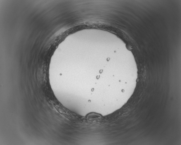 X0000076391016200611031649