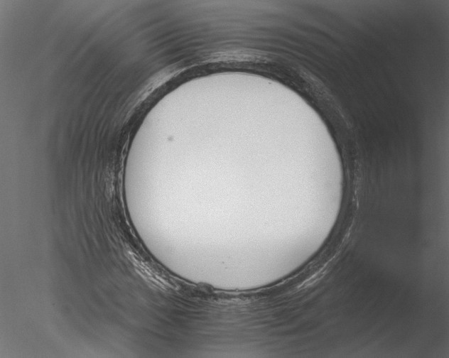 X0000076391017200611031649