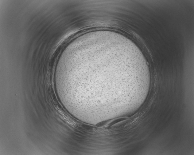 X0000076391019200611031650