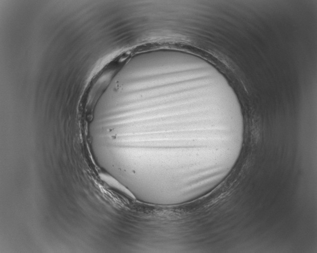 X0000076391022200611031650