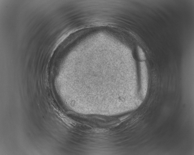 X0000076391023200611031650