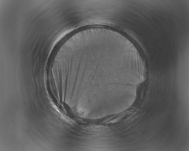 X0000076391024200611031650